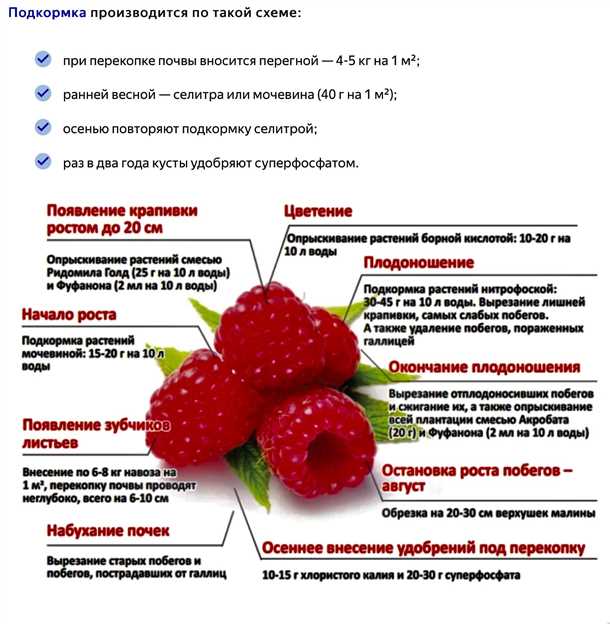 Схема подкормки клубники в открытом грунте таблица